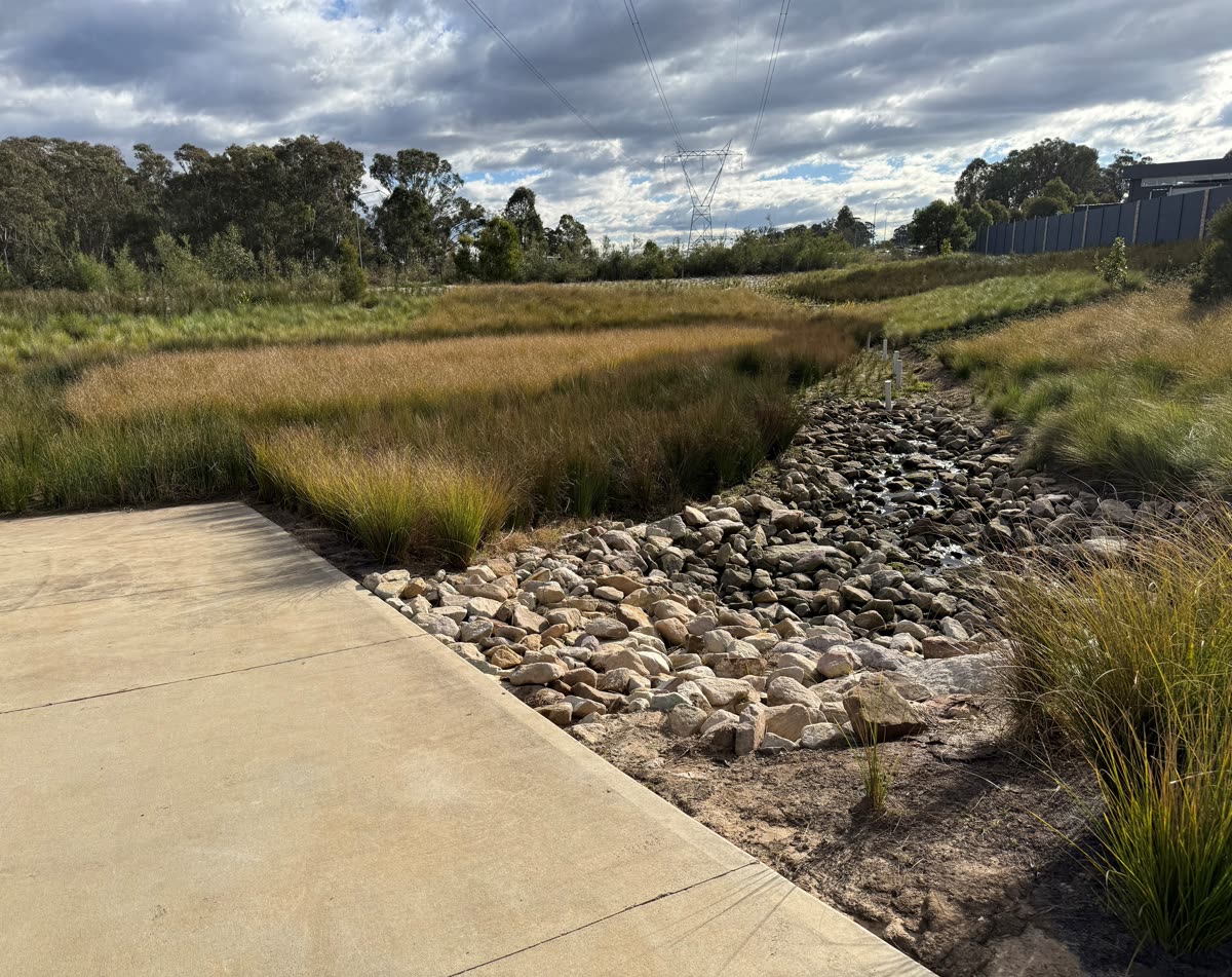 Revegetated detention basin with rock-lined swale and native grasses at Emerald Hills Stage 11, Leppington